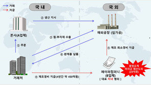 자녀에게 회사 승계하려 이익 해외로 빼돌린 가전업체 대표 적발