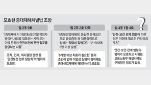 로펌들, 자문 대응팀 가동 “1호 위반땐 본보기 중형 받을수도”