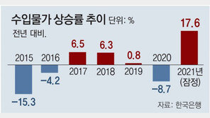 작년 수입물가 17.6% 상승…13년만에 최고