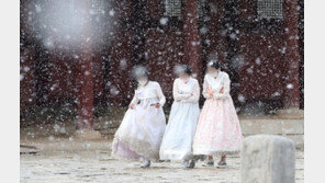 [날씨]내일 서울 아침 -7도 강추위, 오후 1~3㎝ 눈…제주도 등 최대 8㎝