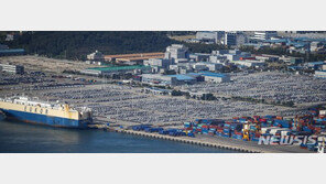 국내 車생산 350만대 아래로…17년만에 ‘최악’