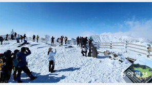 겨울 백록담 인기에 입장권 웃돈거래 성행… “예약시스템 개선 필요”