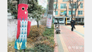 ‘형형색색’ 뜨개옷 입은 가로수