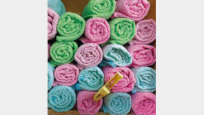 [고양이 눈]꽃봉오리처럼