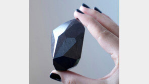 555캐럿 세계최대, 신비의 흑색 다이아몬드