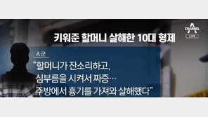 잔소리 때문에 친할머니 살해 10대 형제…형 중형-동생 집유