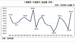 “작년 원자재 수입물가, 42.3%↑13년 만 최고…수익 악화”