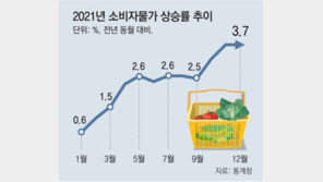 추경, 서민경제 후폭풍 우려… 대출금리-물가 부채질 가능성 