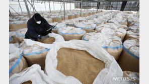 정부 “작년 과잉 생산된 쌀 20만t 매입”…가격 안정 조치