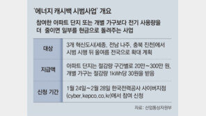 “이웃보다 전기 덜 쓰면 현금 드려요”… 에너지 캐시백 시범 시행