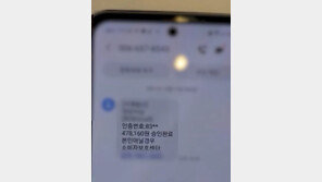 허위문자 보내 83억 뜯어 낸 중국 보이스피싱 조직 검거