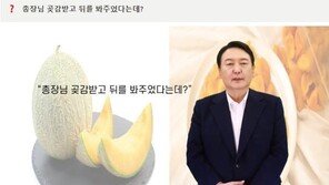 AI윤석열 “난 곶감에 충성 안해…‘이땡땡’님 네거티브 말자면서”