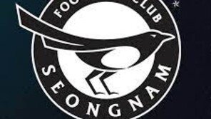 [단독]성남FC, 후원금 유치 성과급 수십억 추정…법조계 “돈세탁 의혹”