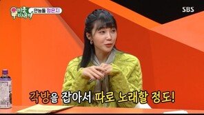 정은지 “가수 반대하는 부모님께 계획과 예상 수익 써서 설득”