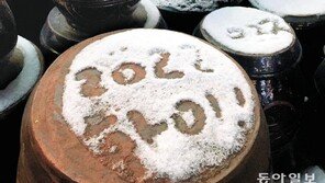 [고양이 눈]2022 하이!