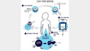 유전자 조작 면역세포 항암제, 10년 이상 효과 유지
