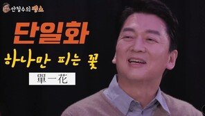 安측 “尹과 단일화 없다…민주? 그들과 사이엔 드루킹이란 큰강이 흐른다”