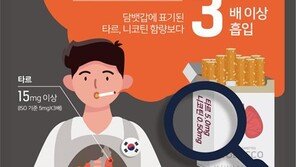 한국인, 담배 더 많이·더 빠르게 핀다…연기 흡입량 국제표준의 3배