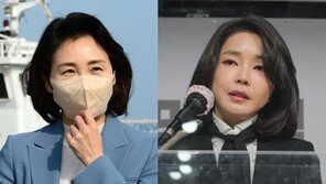 野 “김혜경, 왕비로 군림”… 與 “김건희, 신정아 연상”