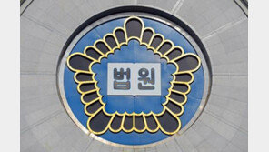 “아들 돈 쓰지마” 말다툼 끝 아내 살해한 70대, 2심도 징역 8년