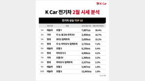 테슬라 모델Y 중고차 시세 30% 이상 급등