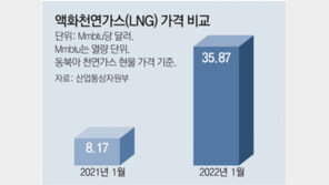 정부 “러-우크라 갈등 지속 고려해 가스물량 사전확보에 주력”