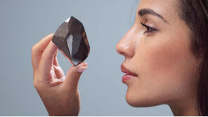 10억년 된 555캐럿 세계 최대 검은 다이아몬드, 51억원에 팔렸다