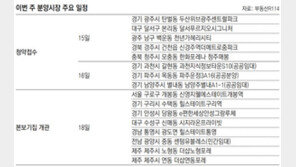 [부동산 캘린더]전국 11개 단지 7746채 분양