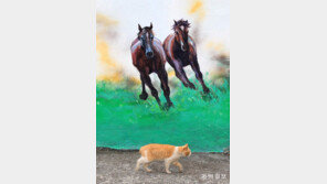 [고양이 눈]오거나 말거나