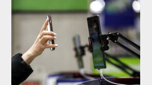 번지는 방역불복… 의심 증상에도 검사 기피, 재택치료중 등산 