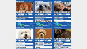 고민정 “반려동물들, 이재명 지지”→ 이준석 “우린 사람이 먼저”