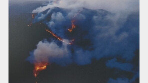 행정안전부 장관 “영덕 산불 피해 최소화에 총력” 긴급지시