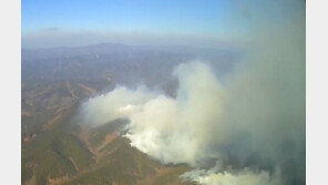 경북 영덕 산불 확산에 ‘산불 3단계’ 발령…주민 대피령도