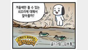 [신문과 놀자!/고독이의 토막상식]겨울새 쇠오리