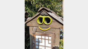 [고양이 눈]눈에 넣으세요