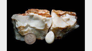 ‘1만1800캐럿’ 세계서 가장 큰 오팔…1억7200만원에 낙찰