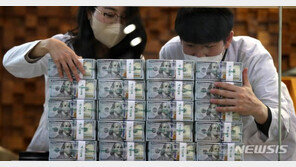 1월 외화예금 41억 달러↓…2개월 연속 감소