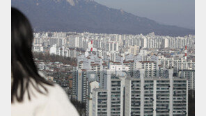 반년 만에 2억 ‘뚝’…2030 몰렸던 노도강 하락세 계속