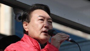 외교안보 250명, 윤석열 지지…“굴종적 안보정책 종식”