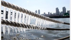 [날씨]퇴근길 서울 영하권 추위…서해안·호남 곳곳 ‘눈 소식’