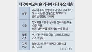 獨, 러 가스관 사업 중단… 英, 푸틴 측근 제재