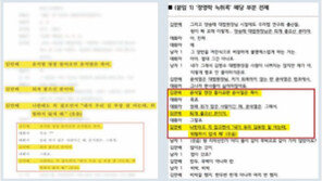 與 “‘이재명 게이트’, 李가 지킨다는 뜻”… 野 “’윤석열 죽어’ 악마의 편집”