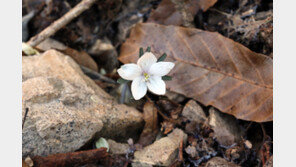 서울 아침 -10도, 17년 만에 최저 2월 말 기온…모레부터 회복