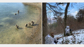 북한, 美 네이비실 ‘참수작전’ 비밀훈련에 반발…“위험천만한 광란”