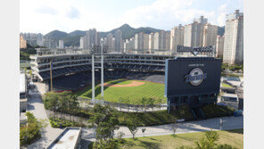 프로야구 NC, 코로나19 추가 확진자 발생…선수만 10명