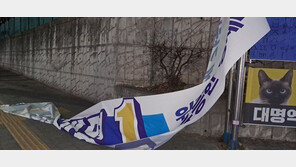 대구서 이재명 현수막·벽보 잇단 수난…민주당 “고의 훼손”