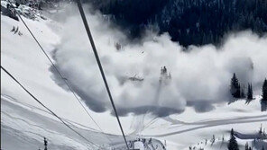 블랙호크 헬기 2대 ‘쾅’… 착륙중 눈보라에 시야 가려