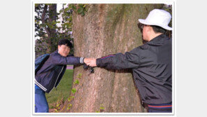 李 “모른다” 했는데…故김문기 “시장님과 골프” 딸에 영상