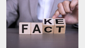 무신사 vs 네이버 크림…명품 티셔츠 ‘짝퉁 공방전’