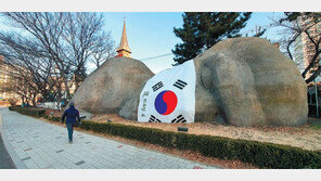 초대형 태극기 마스크 쓴 ‘원시인’